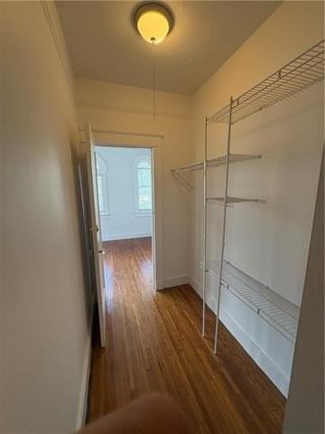806 Audubon St #C - Photo 7 of 10