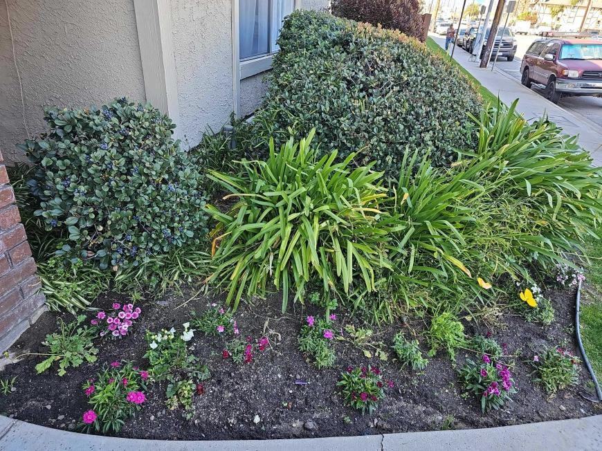 7435 Sepulveda Blvd - Photo 3 of 10