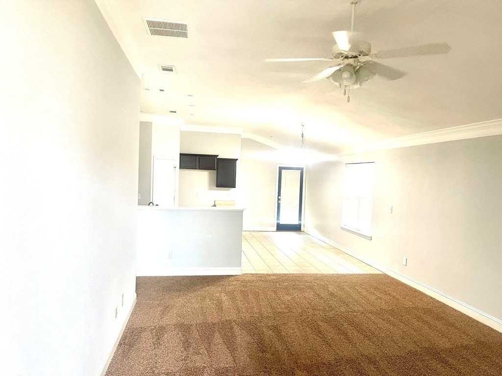 9918 Lamar Ave - Photo 4 of 19