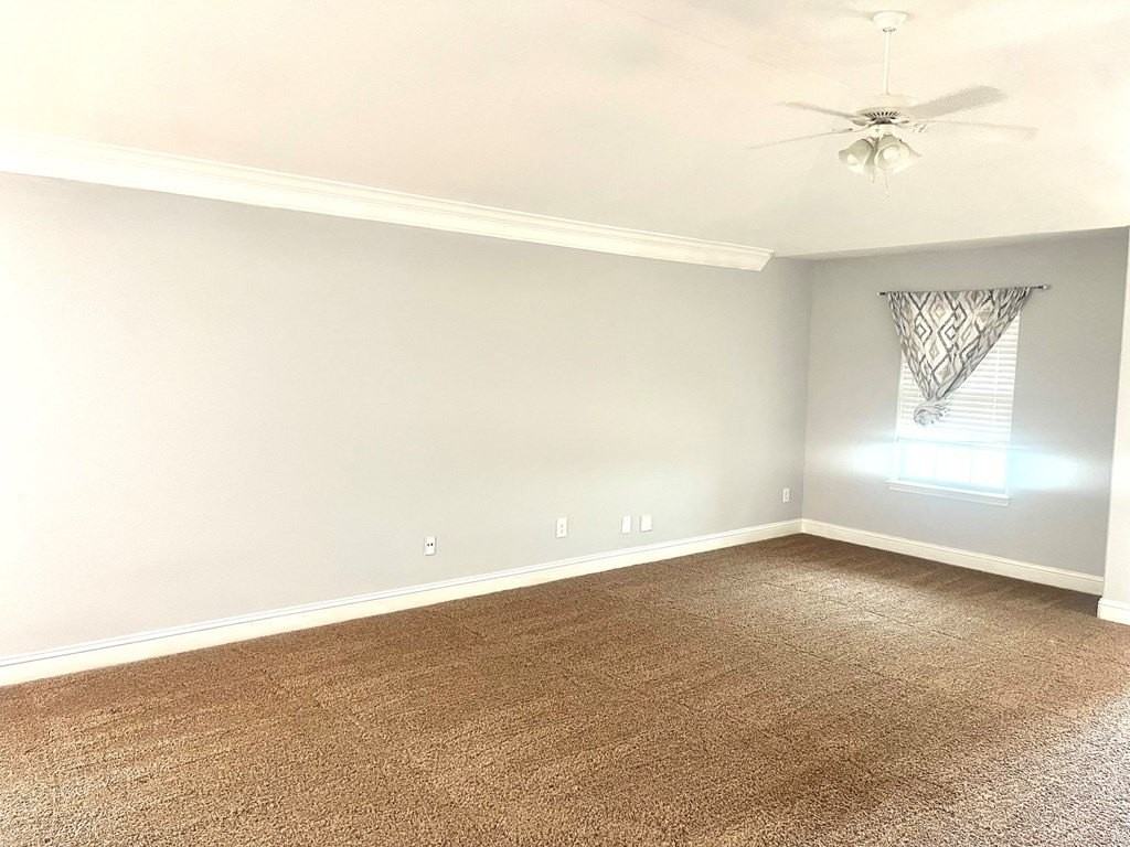 9918 Lamar Ave - Photo 5 of 19