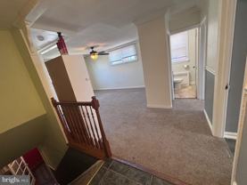 2420 Cedar Ln #2 - Photo 1 of 1