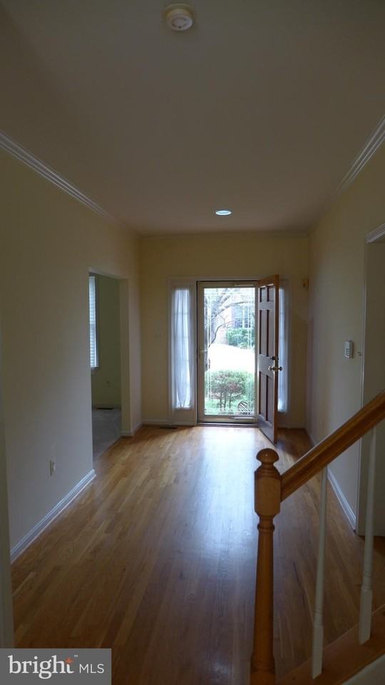 10008 Manor Pl - Photo 4 of 30