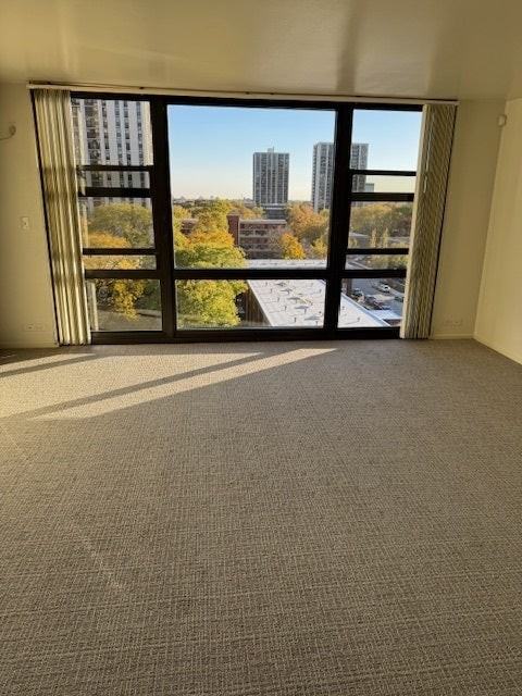 2605 S Indiana Ave - Photo 5 of 30