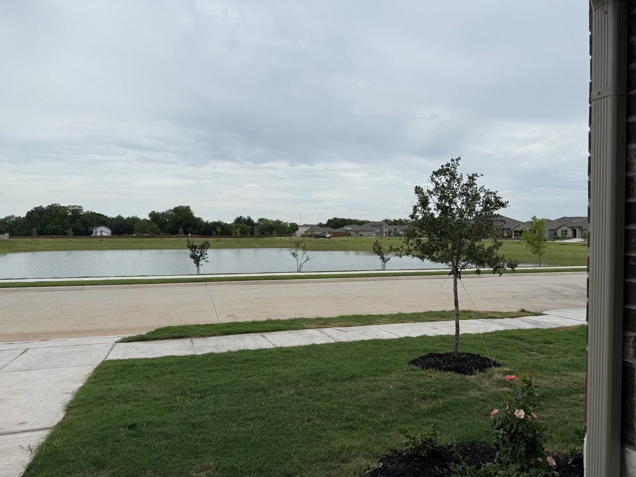 845 Wild Rose Way #NA - Photo 2 of 16
