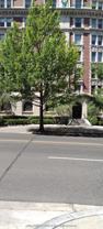 2126 Connecticut Ave Nw #77 - Photo 1 of 1