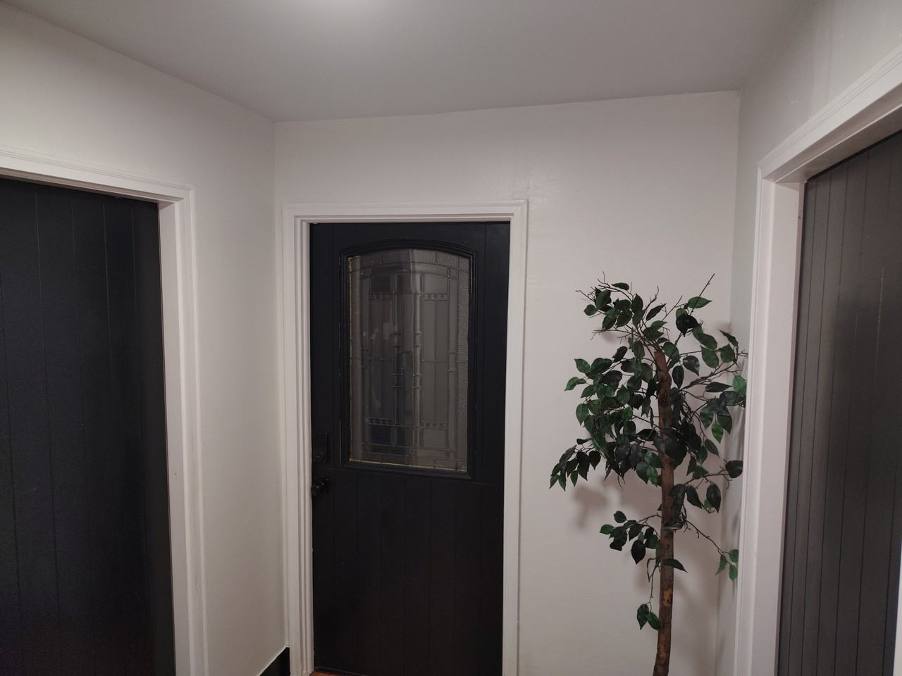 Williamsburg Dr #3 - Photo 2 of 17