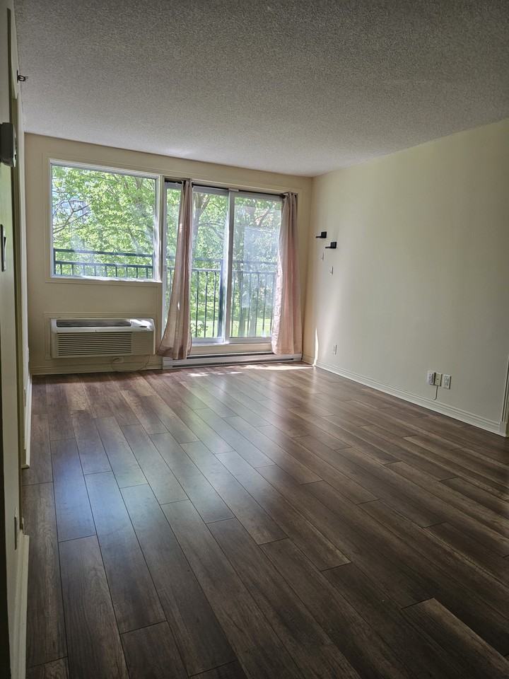 1225 Rue Notre-Dame Ouest #310 - Photo 2 of 10
