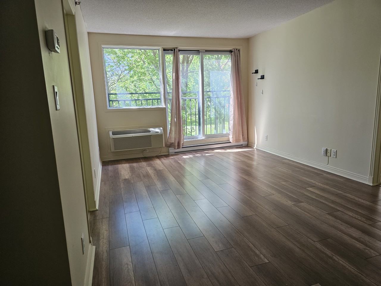 1225 Rue Notre-Dame Ouest #310 - Photo 3 of 10