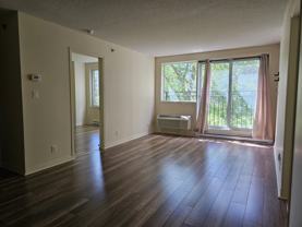 1225 Rue Notre-Dame Ouest #310 - Photo 1 of 1