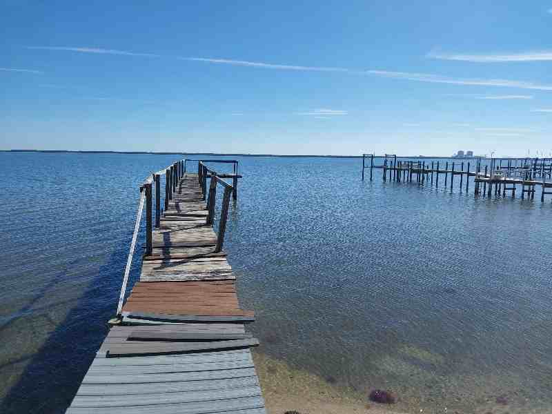 6915 S Indian River Dr - Photo 4 of 8