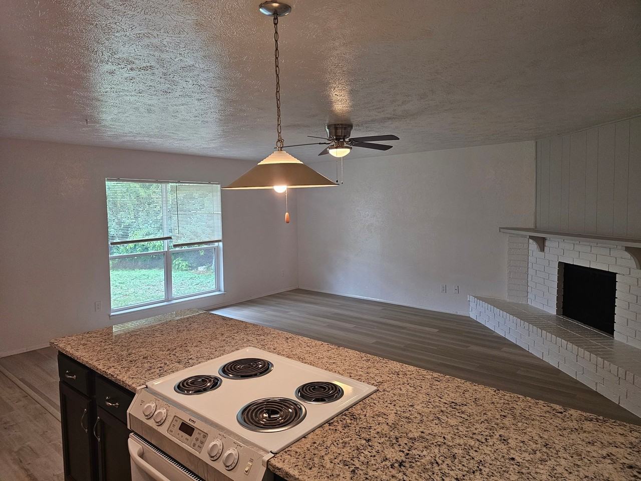524 Oldbridge Dr - Photo 5 of 15