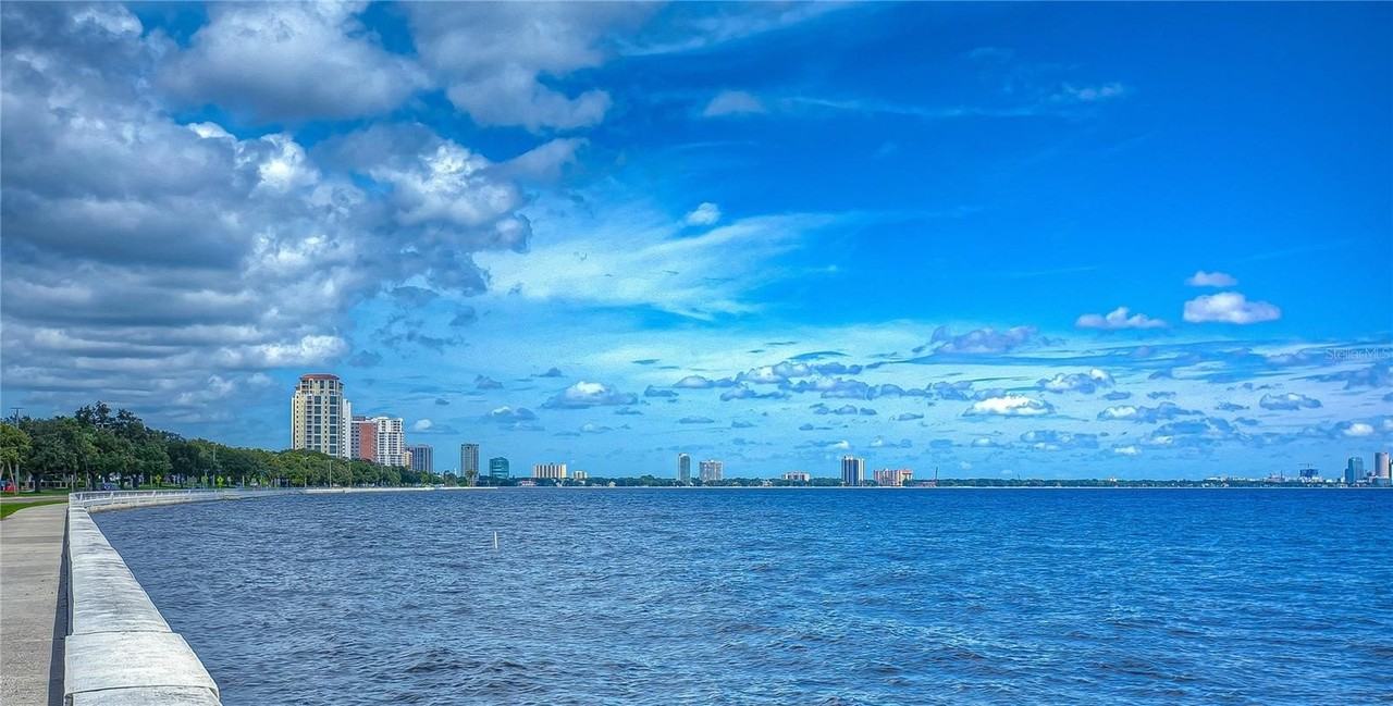 4907 Bayshore Blvd #105 - Photo 3 of 42