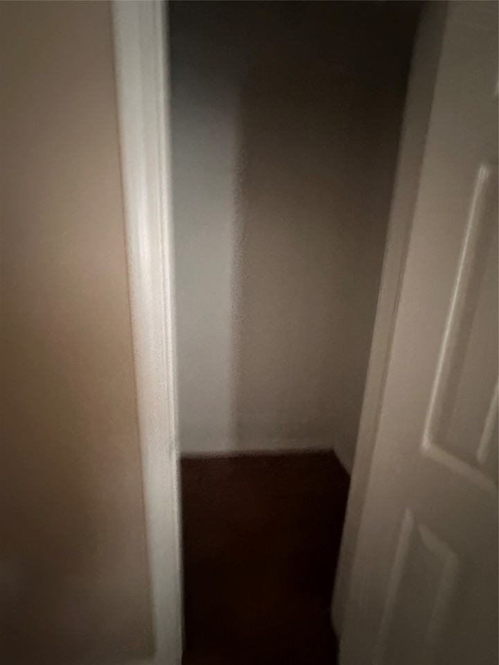 1208 Hall St - Photo 7 of 14
