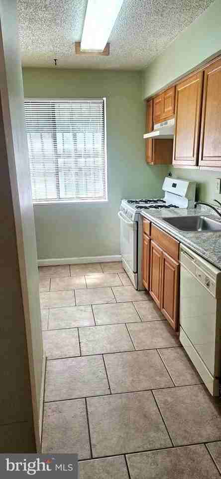 4729 1st St Sw #101 - Photo 3 of 15