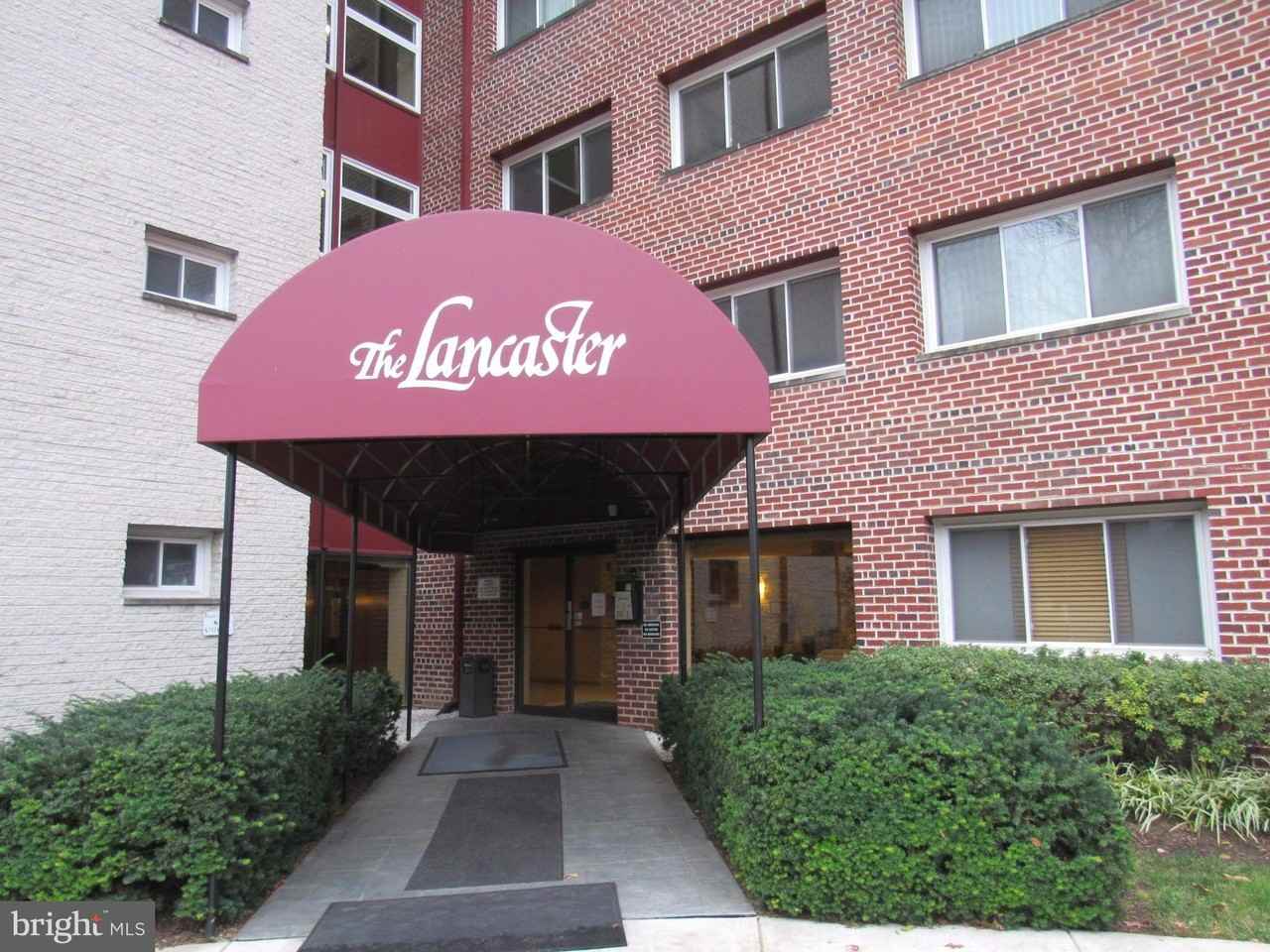 1830 Columbia Pike #411 - Photo 2 of 28