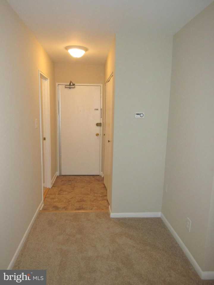 1830 Columbia Pike #411 - Photo 3 of 28