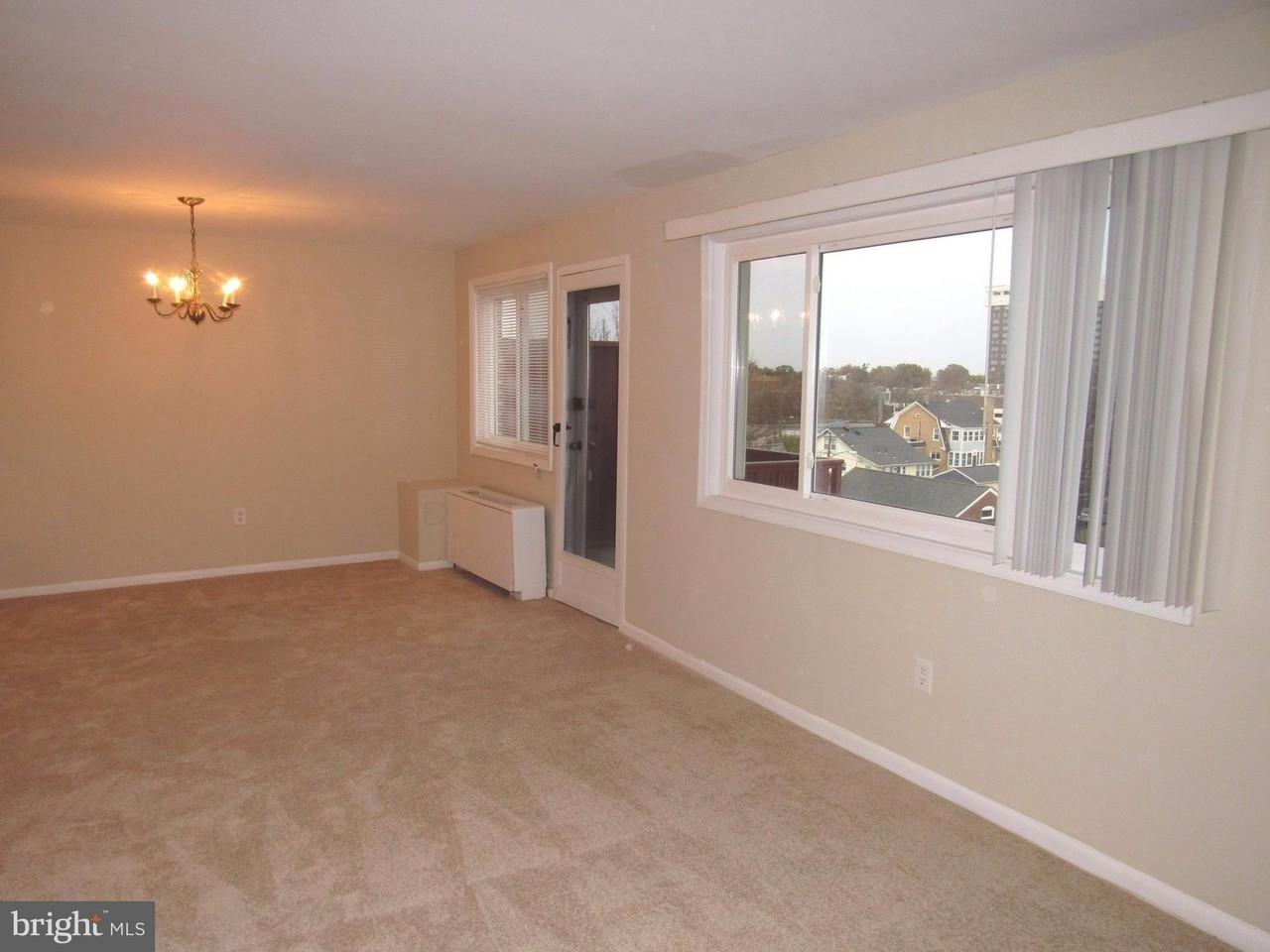 1830 Columbia Pike #411 - Photo 4 of 28
