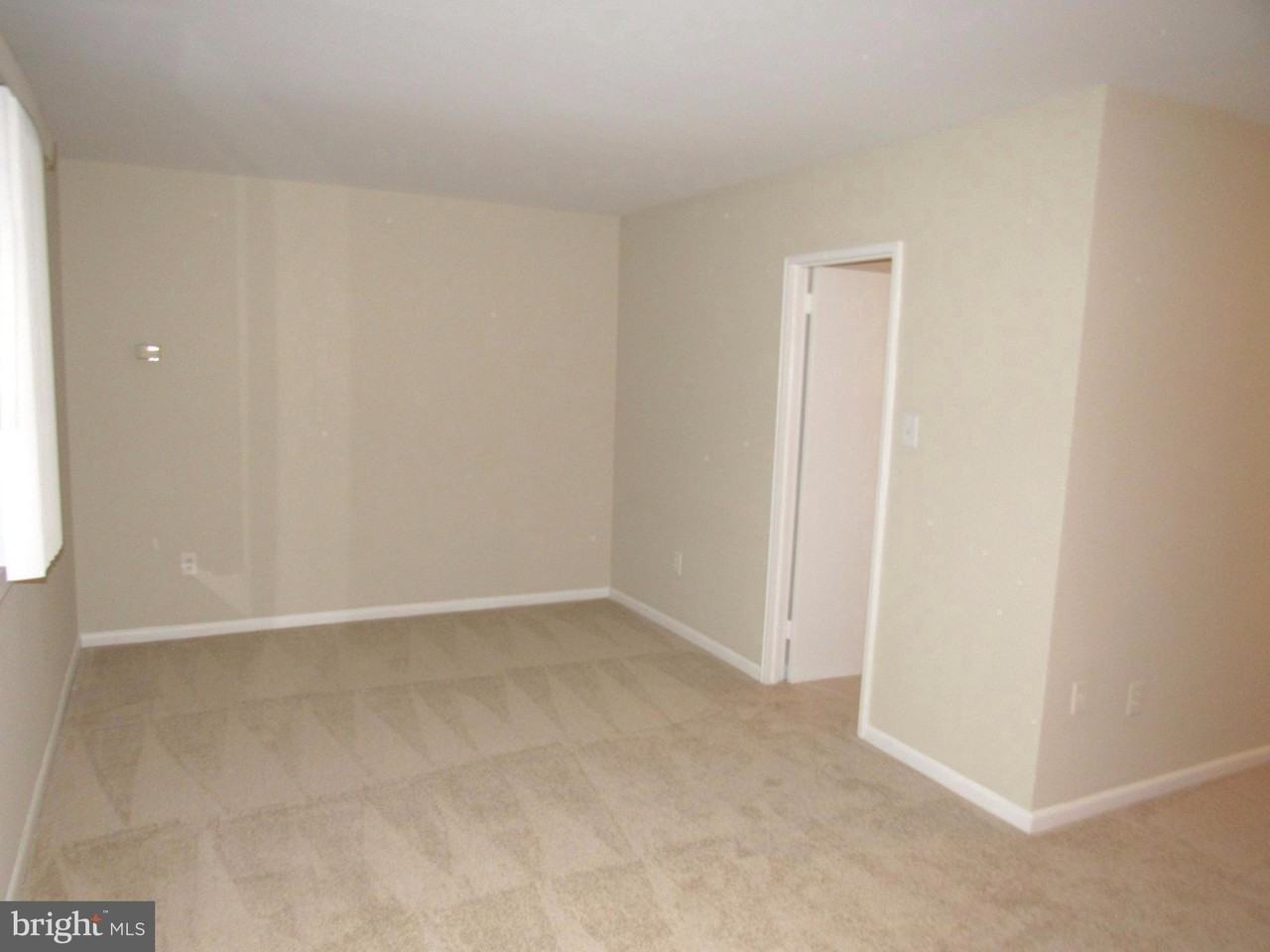 1830 Columbia Pike #411 - Photo 6 of 28