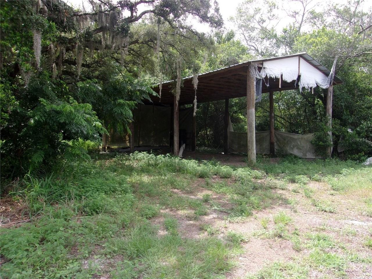 11105 Pinto Dr - Photo 5 of 11
