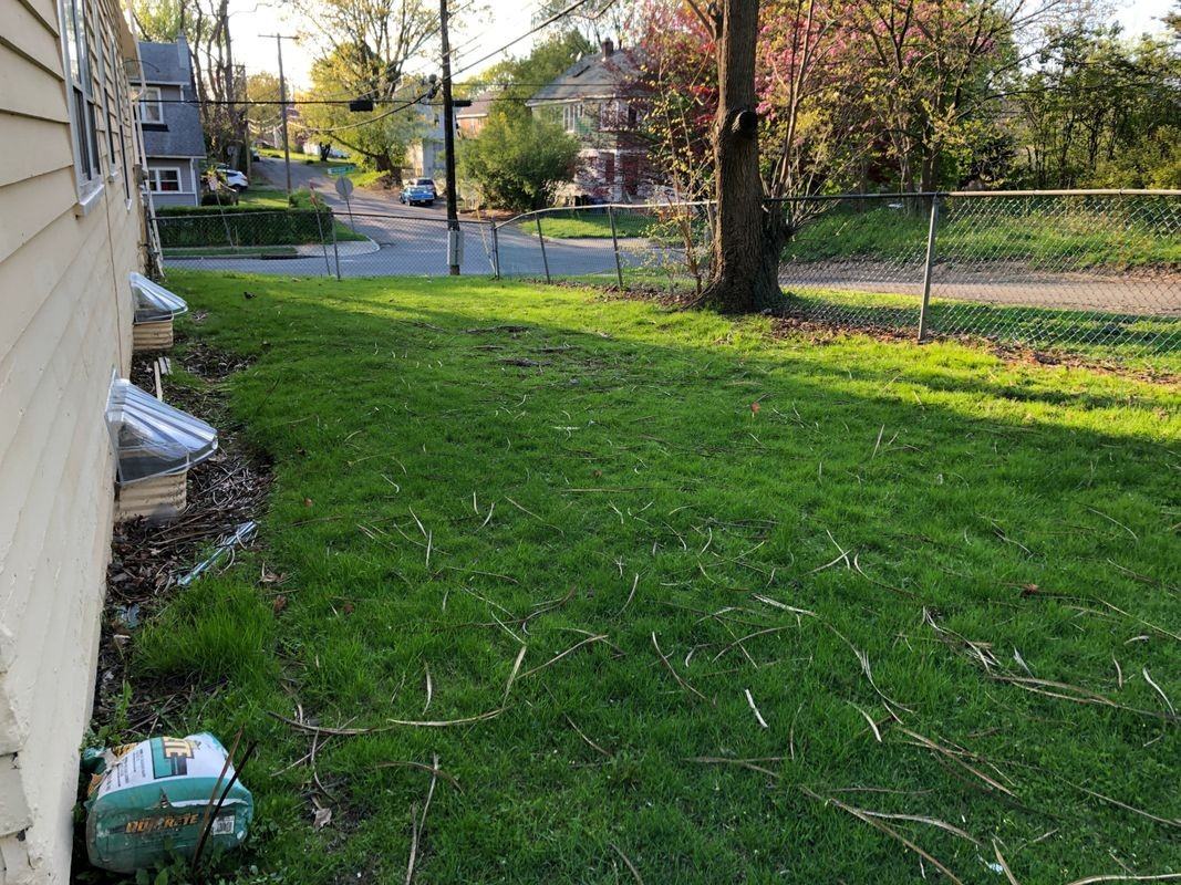 50 Pinewood Ave - Photo 6 of 31