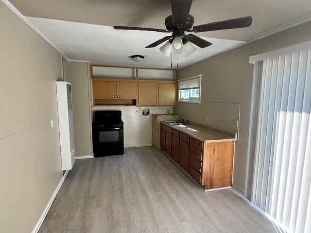 1802 Moger Dr - Photo 3 of 9