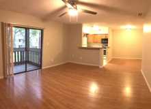 149 springwood Village Cir. #1 - Photo 1 of 1