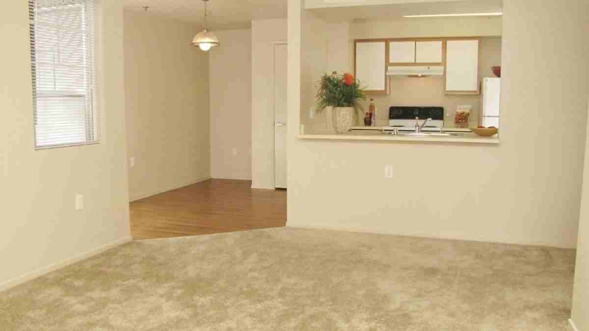 2101 Zurlo Way - Photo 2 of 16