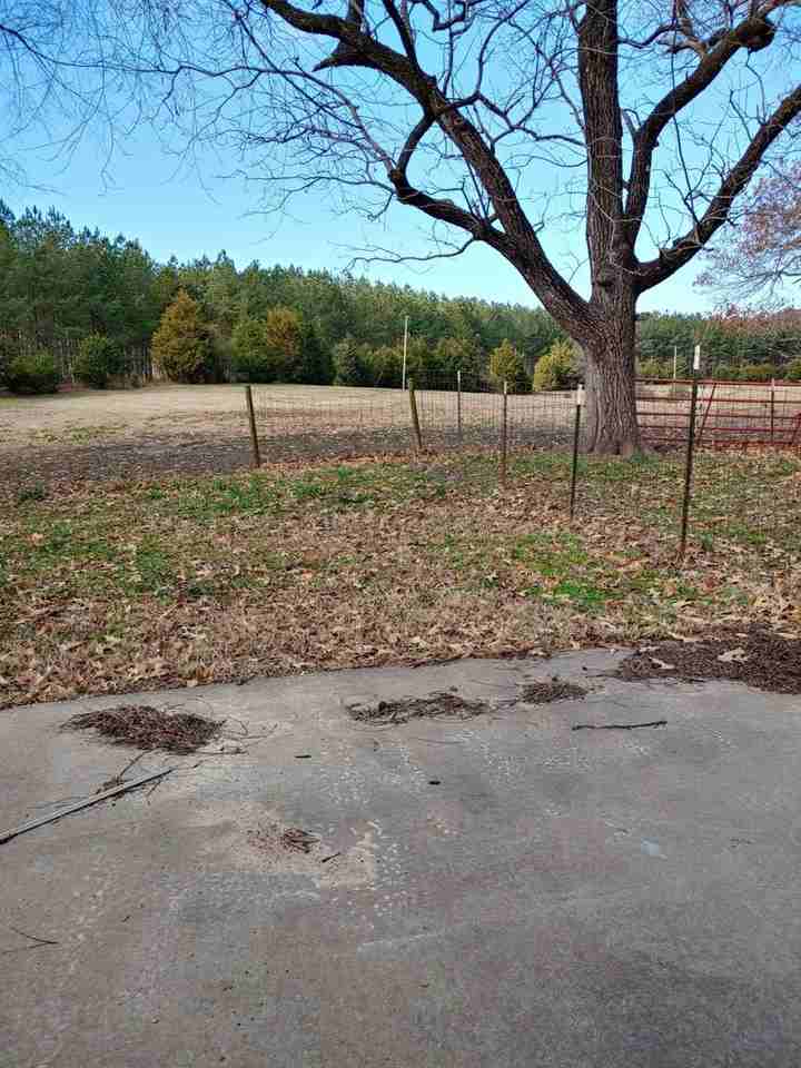 605 Franklin Rd - Photo 2 of 13