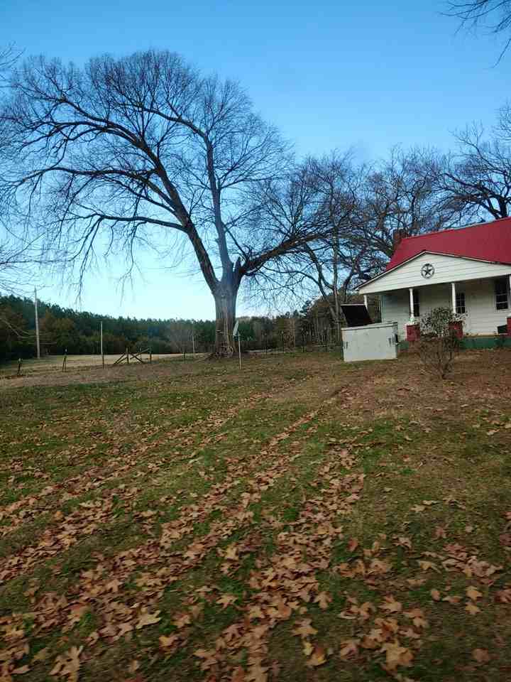 605 Franklin Rd - Photo 3 of 13