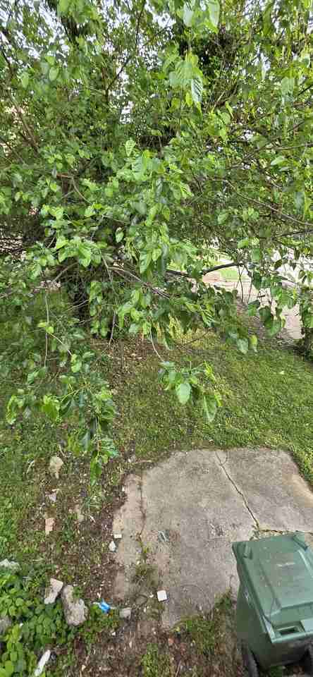 3629 W Garrison Ave #1 - Photo 7 of 10