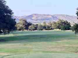 featured image of 38441 Oaktree Loop #1