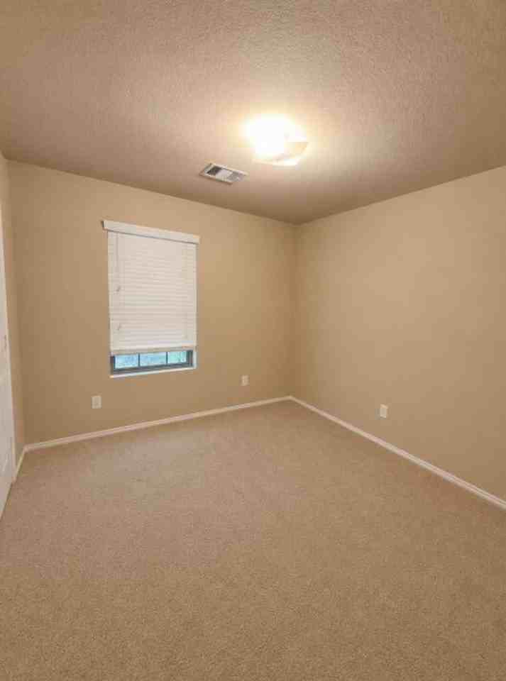 817 Lovebug Ln - Photo 5 of 6
