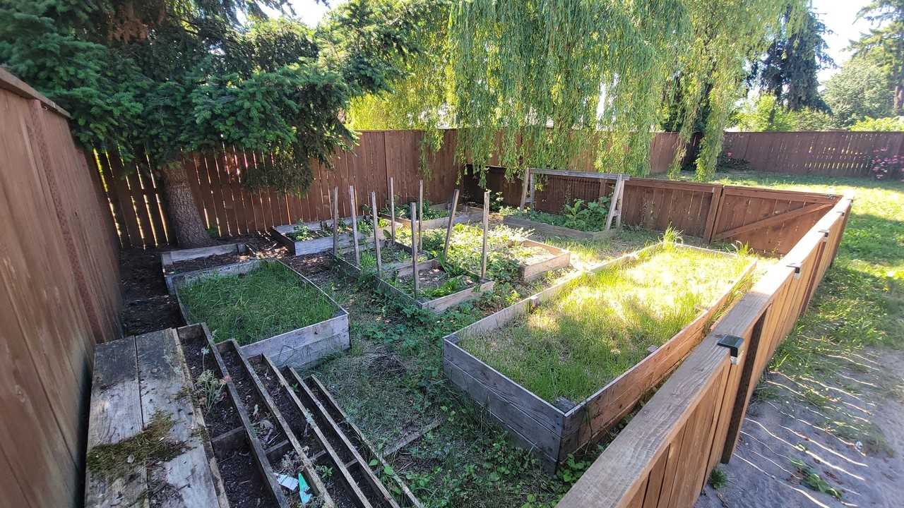 1026 Prospect St - Photo 5 of 15