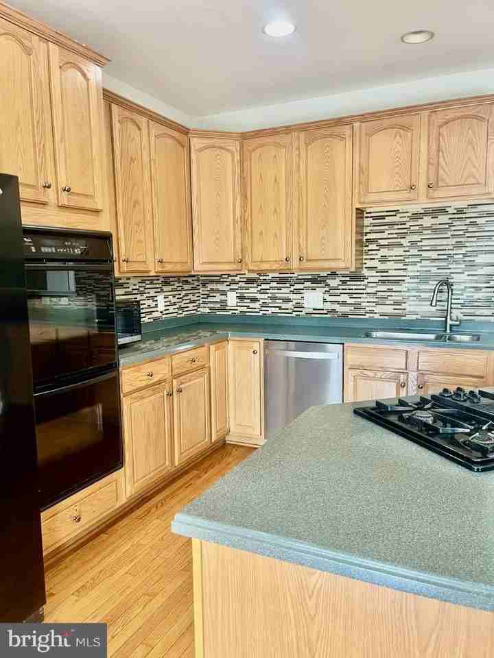 5370 Blue Aster Cir - Photo 2 of 30