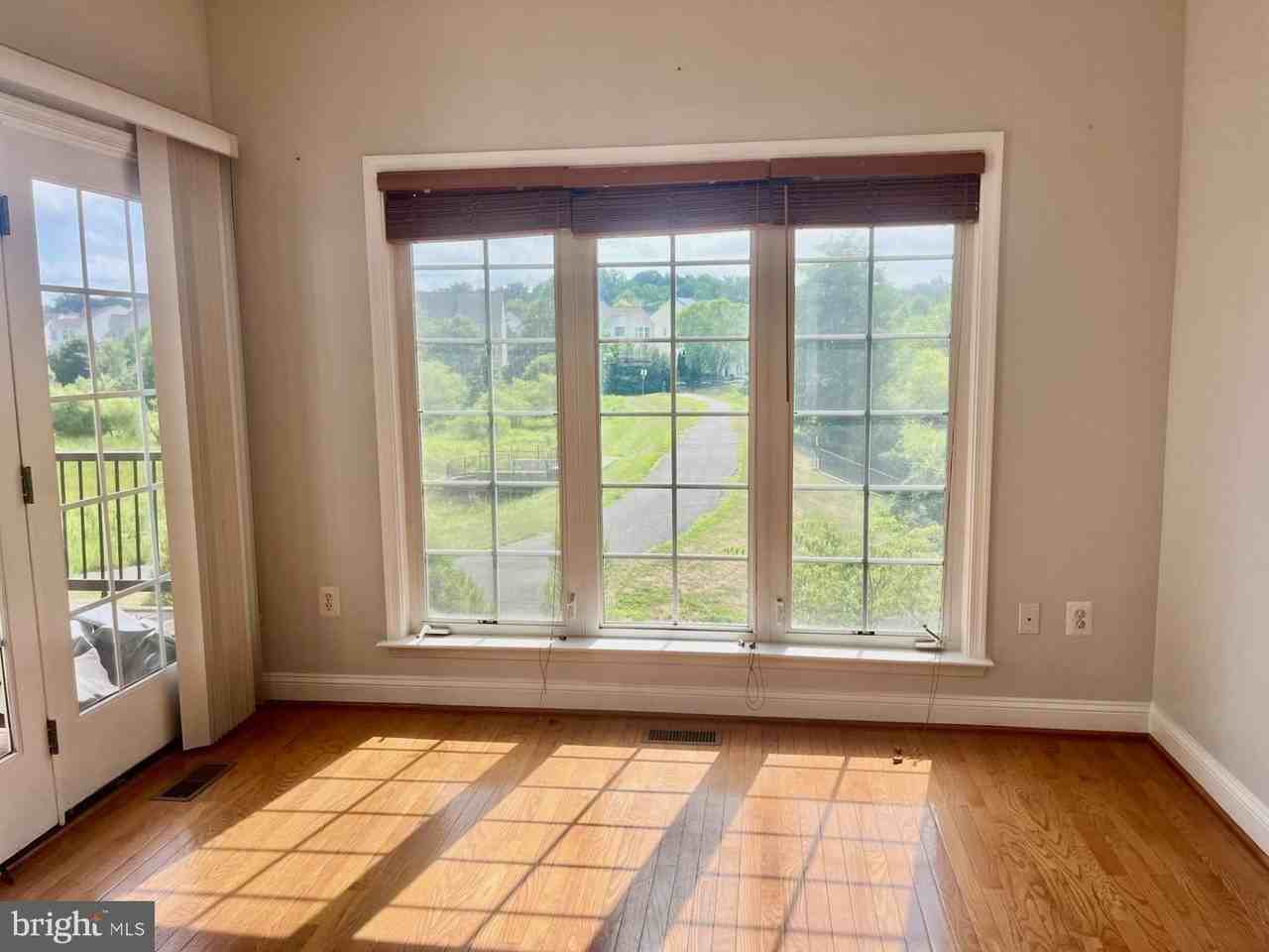 5370 Blue Aster Cir - Photo 4 of 30