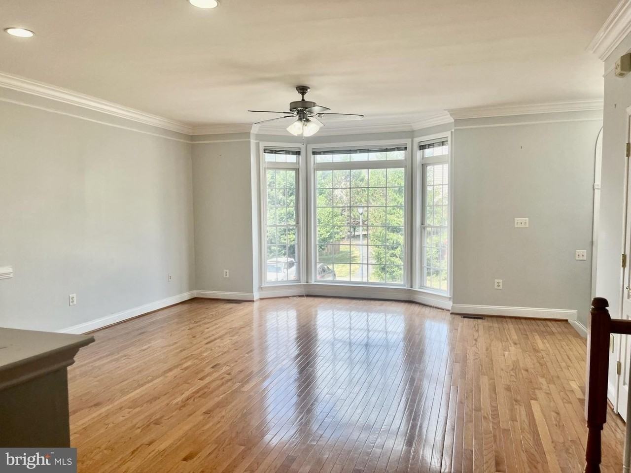 5370 Blue Aster Cir - Photo 5 of 30