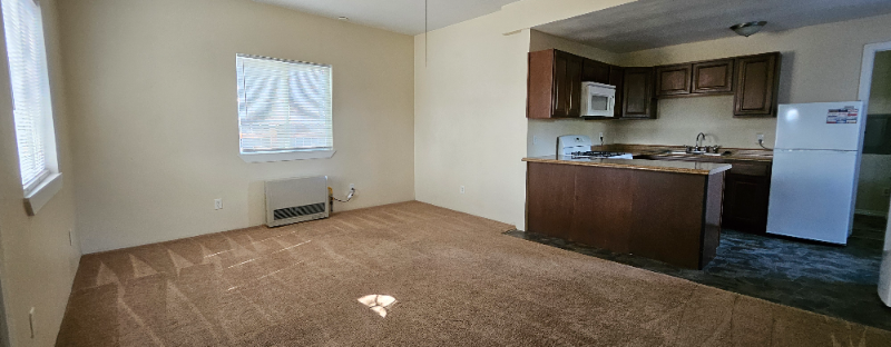 24 E Adams St #B - Photo 6 of 18