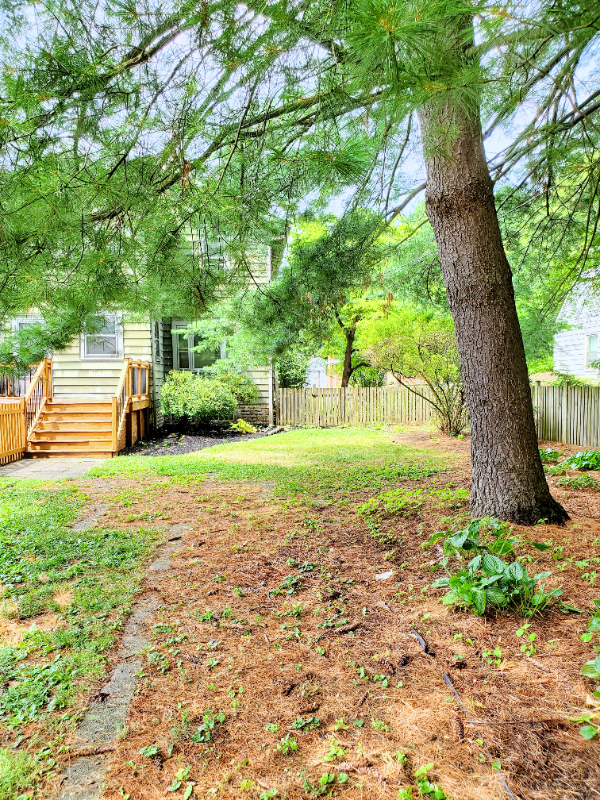131 Glenmont Ave - Photo 5 of 30