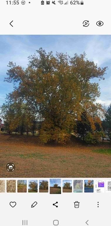 17756 Clinton Township