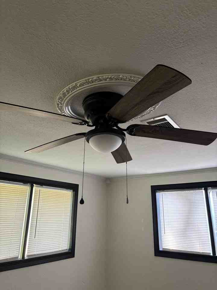 502 Maxfield St - Photo 2 of 13