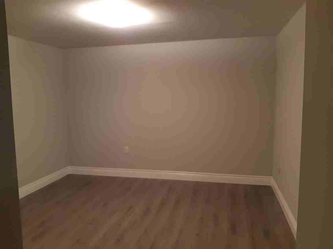Modern, private 1-bdr basement apartment — in a peaceful neighbourhood near Birchmount & Ellesmere - Photo 5 of 14