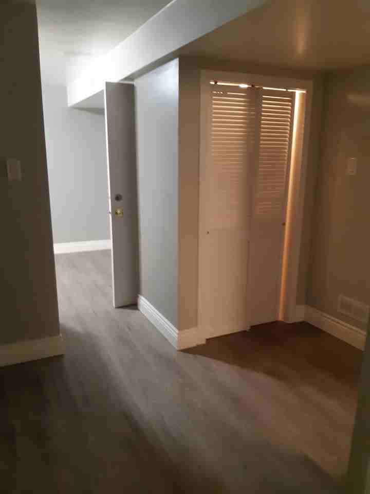 Modern, private 1-bdr basement apartment — in a peaceful neighbourhood near Birchmount & Ellesmere - Photo 3 of 14