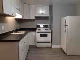 Modern, private 1-bdr basement apartment — in a peaceful neighbourhood near Birchmount & Ellesmere - Photo 1 of 1
