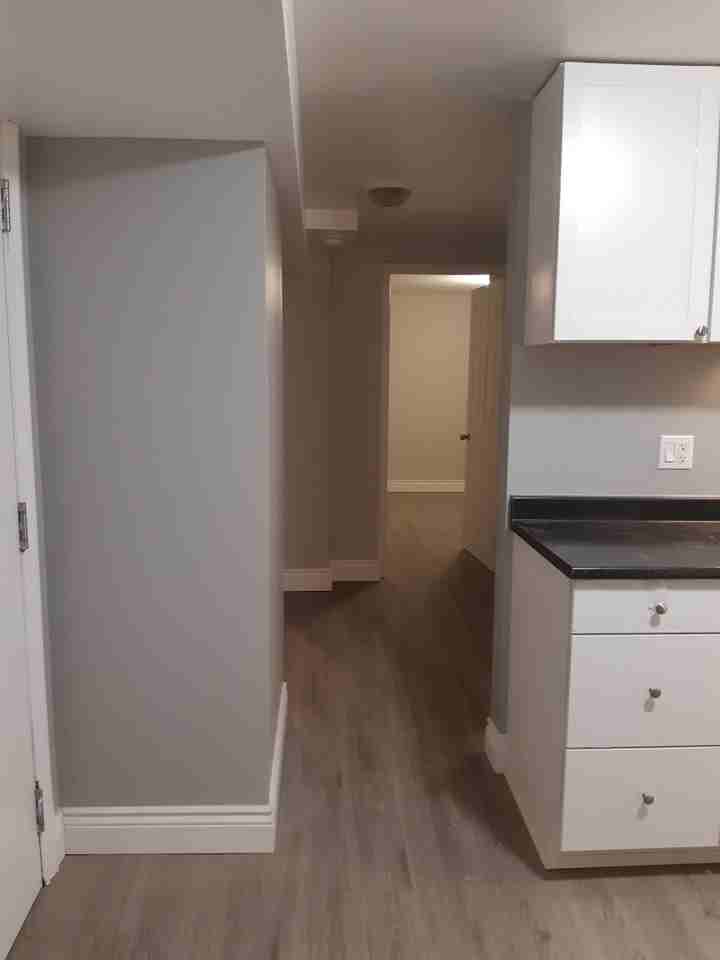 Modern, private 1-bdr basement apartment — in a peaceful neighbourhood near Birchmount & Ellesmere - Photo 2 of 14