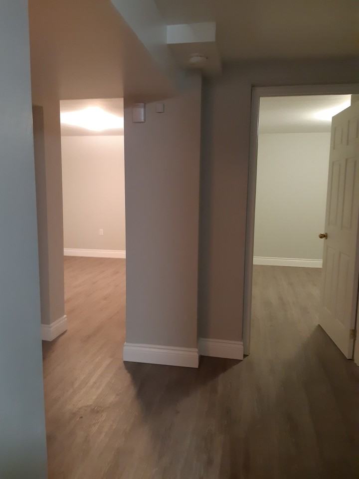 Modern, private 1-bdr basement apartment — in a peaceful neighbourhood near Birchmount & Ellesmere - Photo 4 of 14