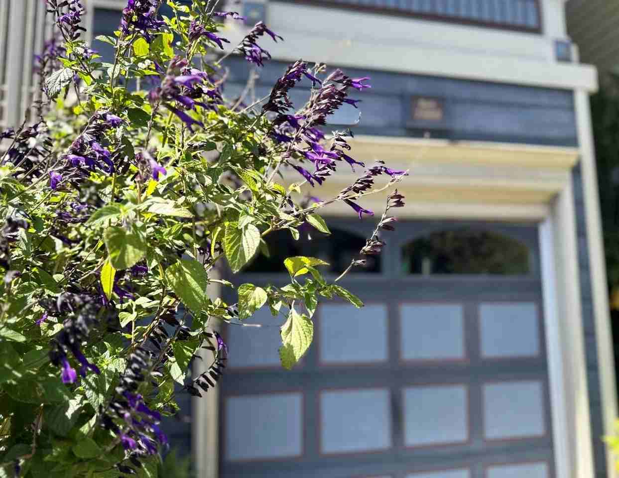 1914 Golden Gate Ave - Photo 5 of 50