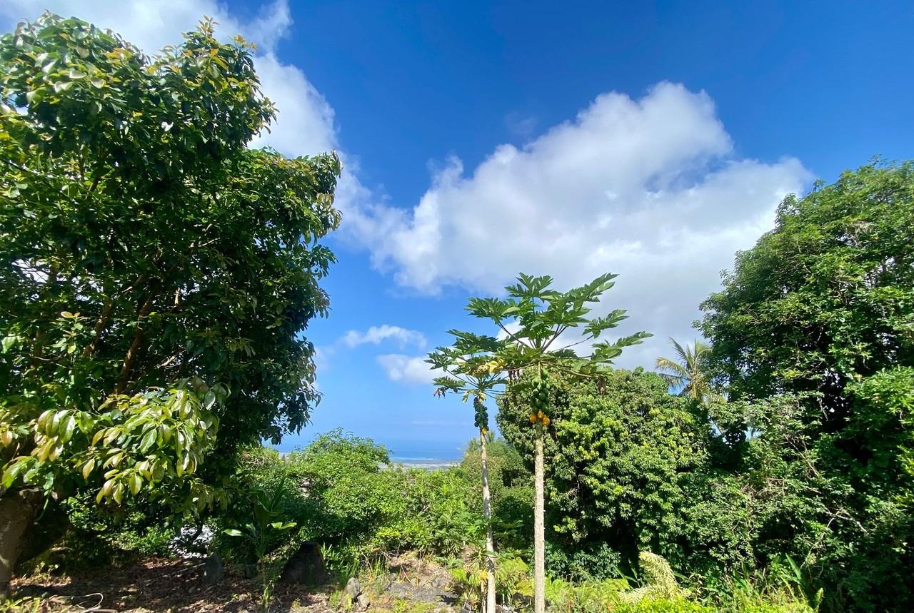 73-4691 Kohanaiki Rd - Photo 2 of 15