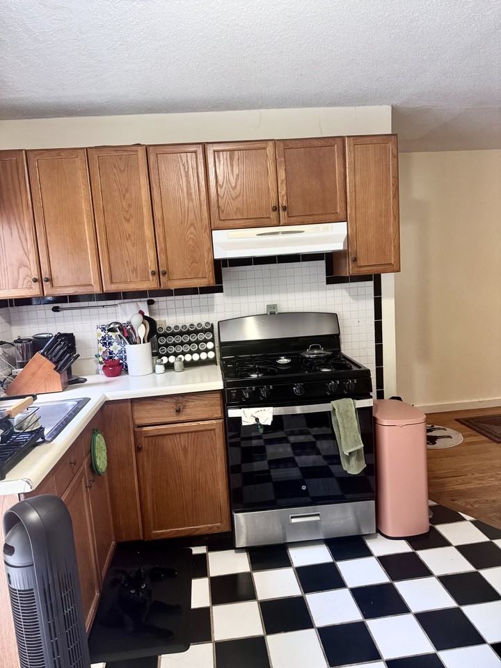 167 Charles St #1 - Photo 5 of 12