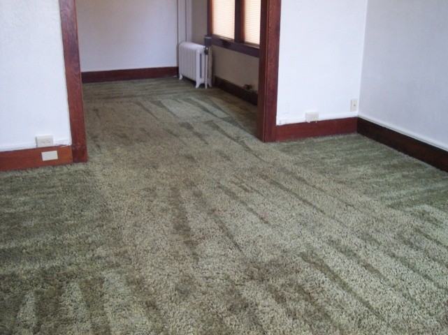 3407 1st Ave N #5 - Photo 3 of 5