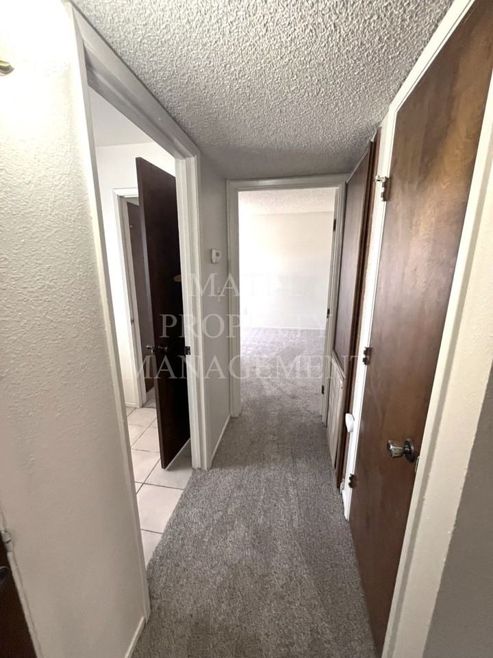 3701 Colonial Dr #217 - Photo 7 of 16